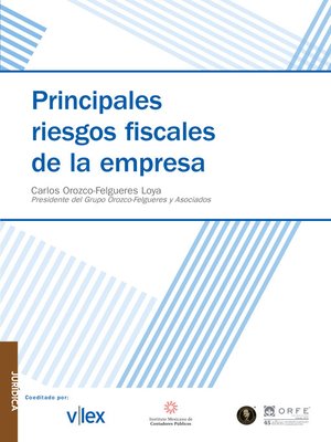 cover image of Principales riesgos de la empresa